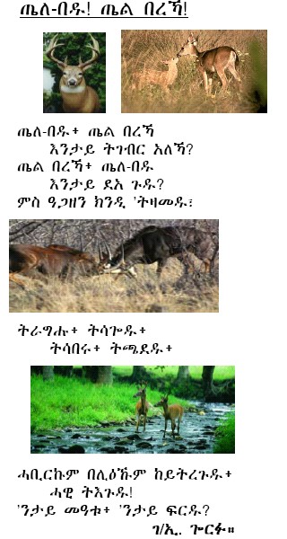 Telebedu.jpg (556500 bytes)