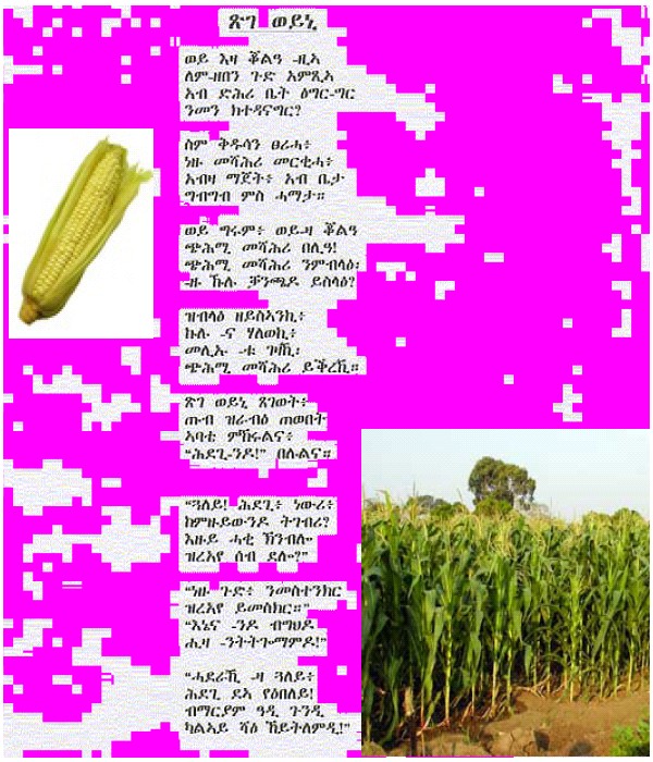 Tsgeweini.jpg (556500 bytes)