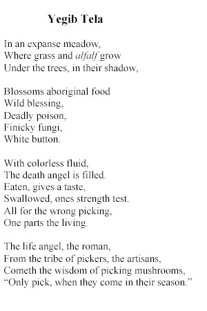 images/YegibTela.jpg (405000 bytes)