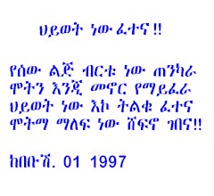 hiwot_fetena.jpg (495000 bytes)