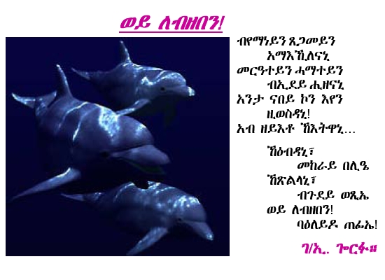 lebzeben_geg.jpg (450000 bytes)