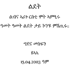 lidet_gm.jpg (450000 bytes)