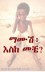 mamush1_tit.jpg (66300 bytes)