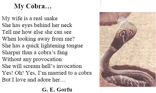 mycobra.jpg (556500 bytes)