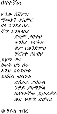 sebat.jpg (556500 bytes)