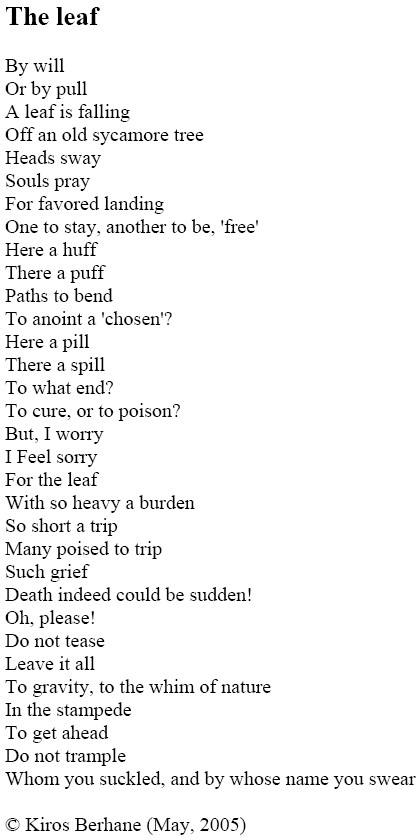 the_leaf.jpg (1872000 bytes)