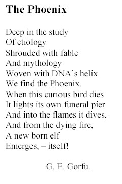 the_phoenix.jpg (259200 bytes)
